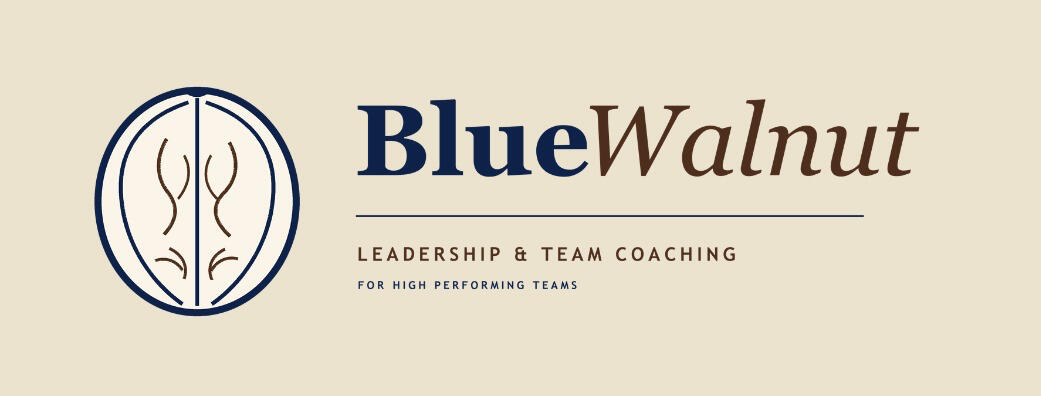 Vaso Vardaki - CEO Self-Leadership as the First KPI - Top10C-SuiteVoices Vaso Vardaki - CEO Self-Leadership as the First KPI - Top10C-SuiteVoices